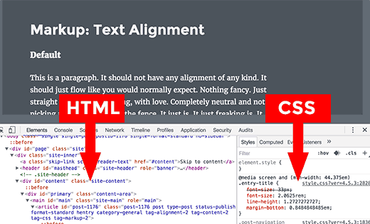 Panel HTML dan CSS dalam memeriksa alat 