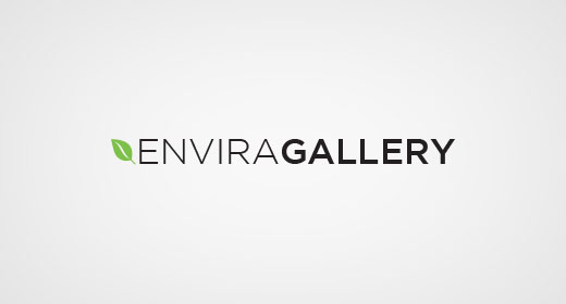 Galeri Envira 