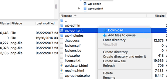 Download folder wp-content 
