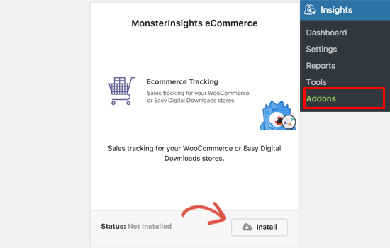 MonsterInsights e-commerce addon 