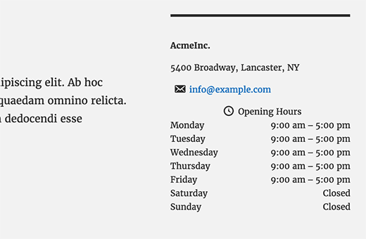 Info bisnis dan jam buka di WordPress 