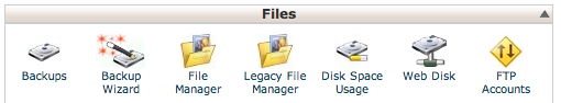 cPanel File Manager 