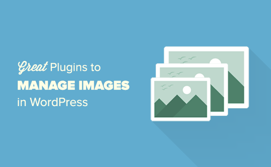 Plugin WordPress untuk mengelola gambar 