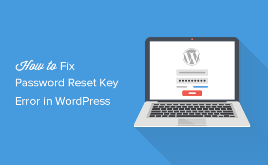 Fixing Tidak bisa menyimpan kunci reset password ke database error di WordPress 