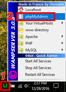 Meluncurkan PHPMyAdmin 