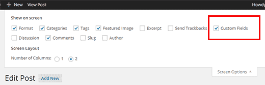 Membuat custom field meta box terlihat di editor posting WordPress 