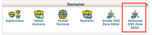 Editor zona DNS tingkat lanjut di dasbor cPanel 
