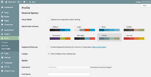 Mengubah skema warna area admin WordPress 