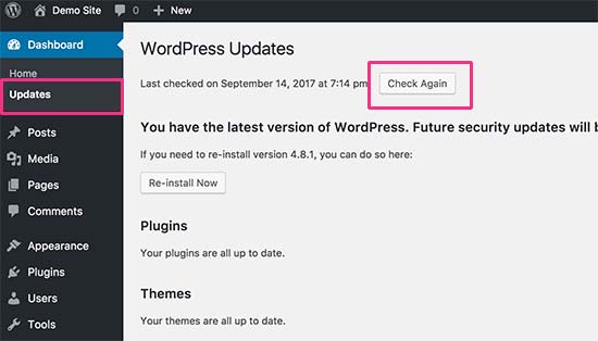 Periksa update WordPress 