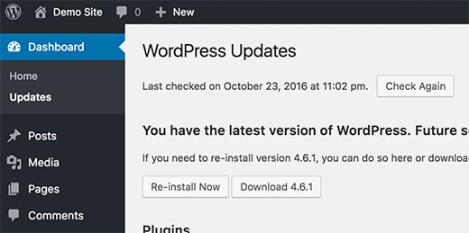 Update WordPress 