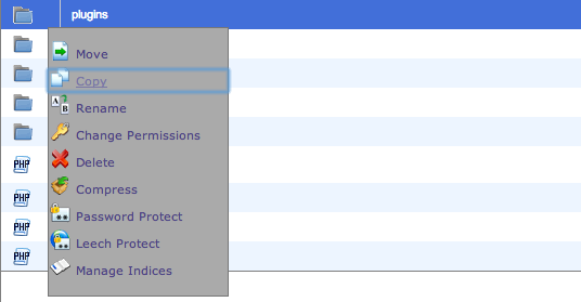 Folder Copy cPanel 