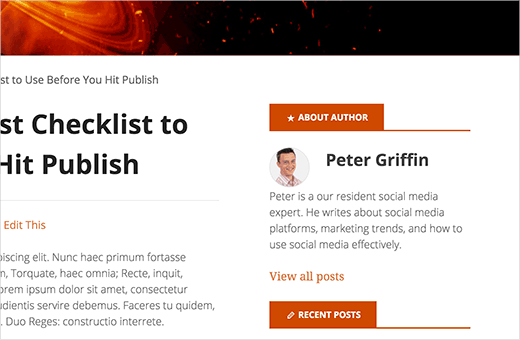 Widget info penulis di WordPress 