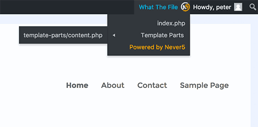 File template digunakan untuk menampilkan halaman ini 