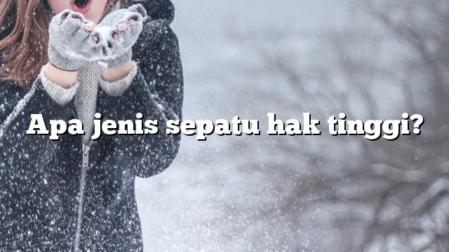 Apa jenis sepatu hak tinggi?