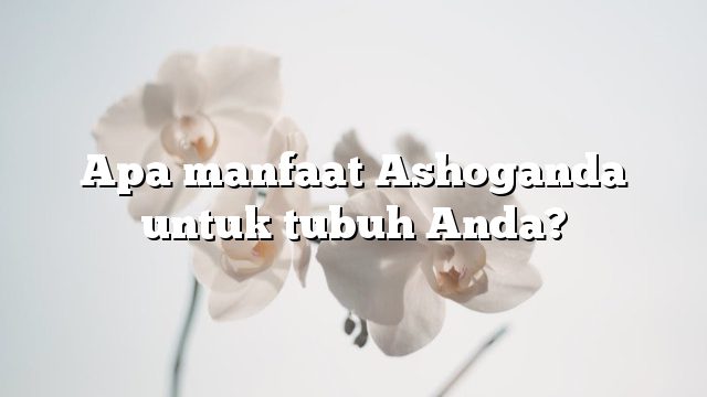 Apa manfaat Ashoganda untuk tubuh Anda?