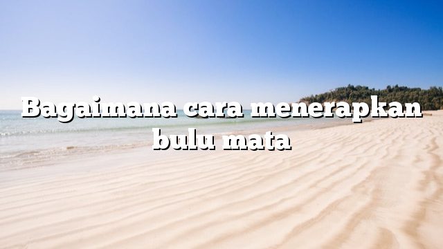 Bagaimana cara menerapkan bulu mata