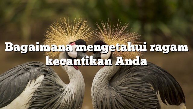 Bagaimana mengetahui ragam kecantikan Anda