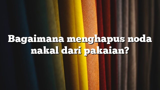 Bagaimana menghapus noda nakal dari pakaian?