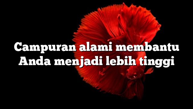 Campuran alami membantu Anda menjadi lebih tinggi