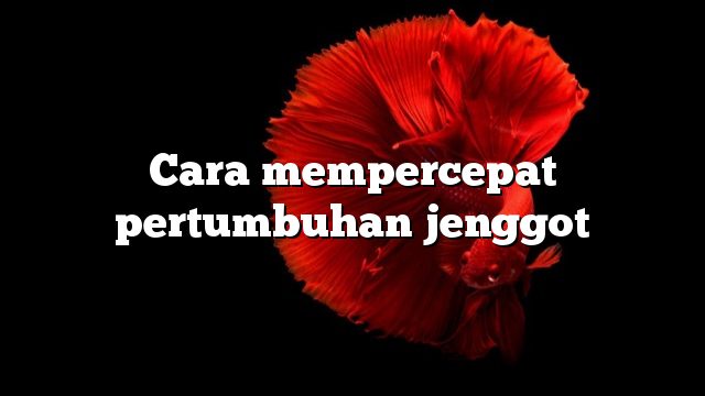 Cara mempercepat pertumbuhan jenggot