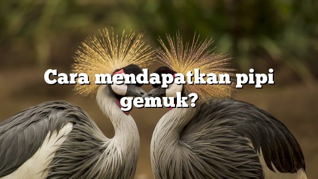 Cara mendapatkan pipi gemuk?