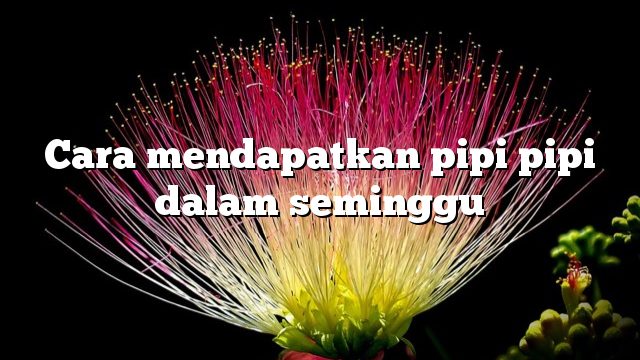 Cara mendapatkan pipi pipi dalam seminggu