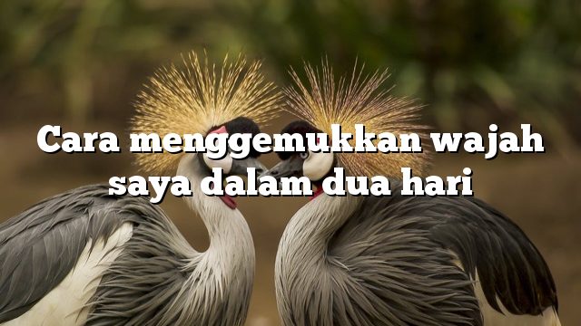 Cara menggemukkan wajah saya dalam dua hari