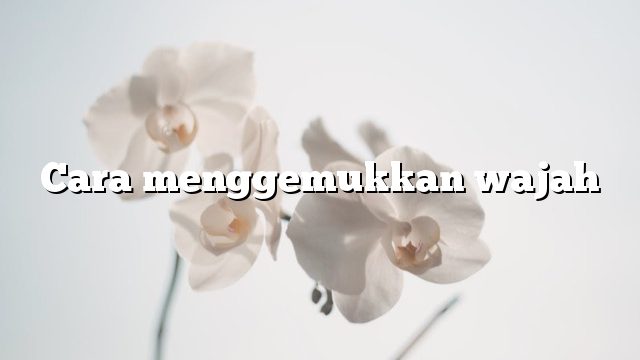 Cara menggemukkan wajah