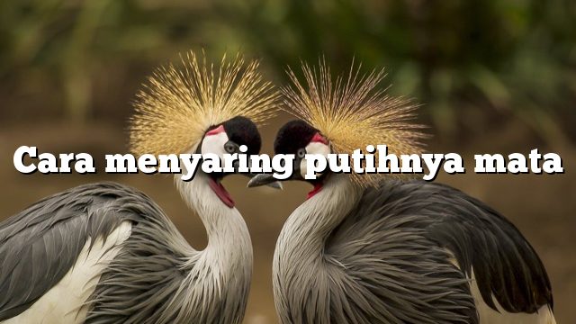 Cara menyaring putihnya mata