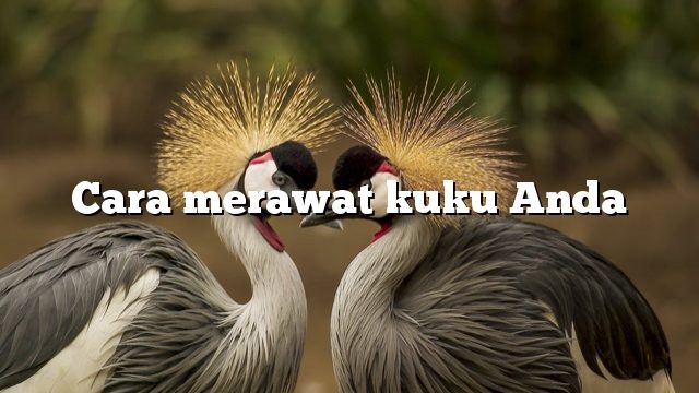 Cara merawat kuku Anda