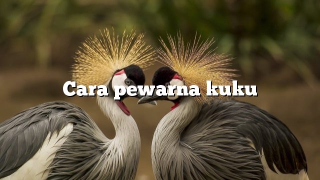 Cara pewarna kuku