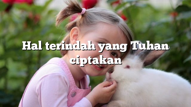 Hal terindah yang Tuhan ciptakan