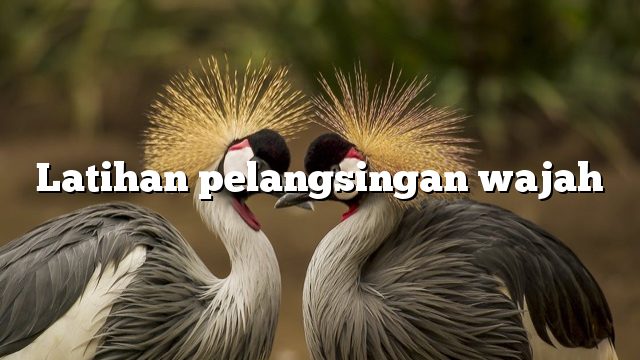 Latihan pelangsingan wajah