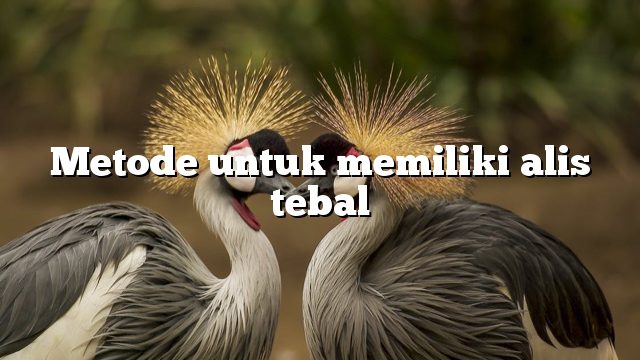 Metode untuk memiliki alis tebal