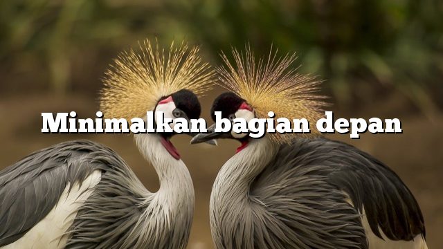 Minimalkan bagian depan