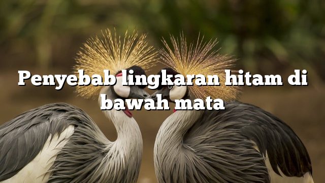 Penyebab lingkaran hitam di bawah mata