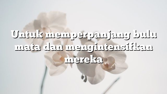 Untuk memperpanjang bulu mata dan mengintensifkan mereka